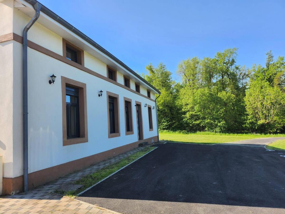 Loft Spacieux En Pleine Foret Bining Exterior foto